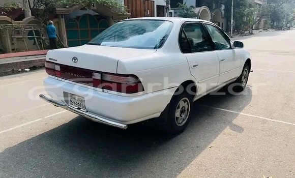 Buy Used Toyota 100 corsa in Bajitpur, Kishorganj Buy Used Toyota 100 corsa in Bajitpur, Kishorganj