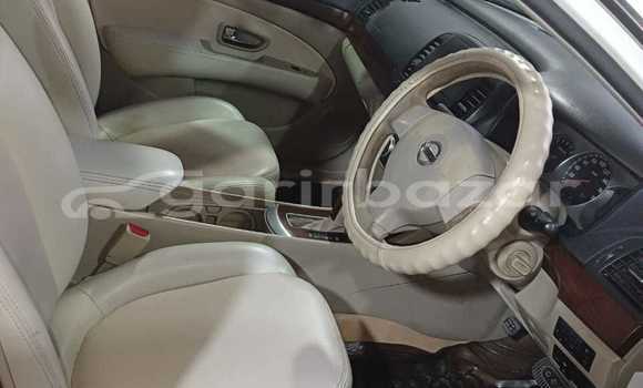 Buy Used 2006 Nissan Bluebird Sylphy in Dhaka, Dhaka Buy Used 2006 Nissan Bluebird Sylphy in Dhaka, Dhaka