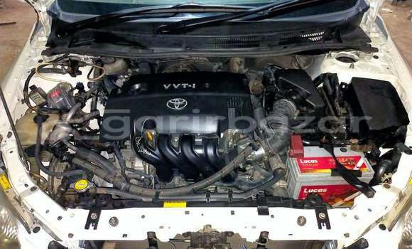 কেনা ব্যবহৃত Toyota Axio White গাড়ী মধ্যে ঢাকা মধ্যে Dhaka কেনা ব্যবহৃত Toyota Axio White গাড়ী মধ্যে ঢাকা মধ্যে Dhaka