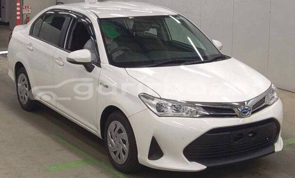 কেনা ব্যবহৃত Toyota axio White গাড়ী মধ্যে ঢাকা মধ্যে Dhaka কেনা ব্যবহৃত Toyota axio White গাড়ী মধ্যে ঢাকা মধ্যে Dhaka