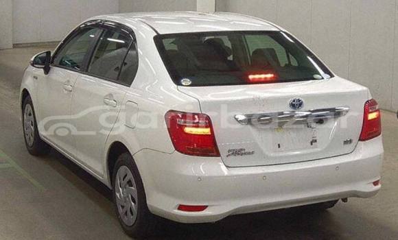 কেনা ব্যবহৃত Toyota axio White গাড়ী মধ্যে ঢাকা মধ্যে Dhaka কেনা ব্যবহৃত Toyota axio White গাড়ী মধ্যে ঢাকা মধ্যে Dhaka