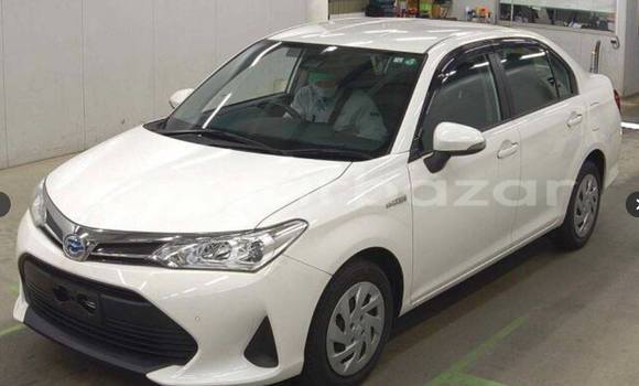 কেনা ব্যবহৃত Toyota axio White গাড়ী মধ্যে ঢাকা মধ্যে Dhaka কেনা ব্যবহৃত Toyota axio White গাড়ী মধ্যে ঢাকা মধ্যে Dhaka