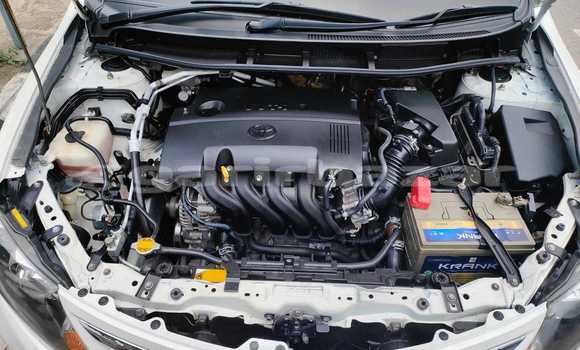 কেনা ব্যবহৃত Toyota Premio White গাড়ী মধ্যে ঢাকা মধ্যে Dhaka কেনা ব্যবহৃত Toyota Premio White গাড়ী মধ্যে ঢাকা মধ্যে Dhaka