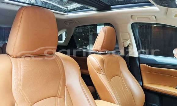 Buy Used 2023 Lexus RX in Dhaka, Dhaka Buy Used 2023 Lexus RX in Dhaka, Dhaka