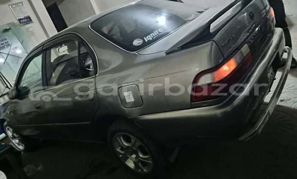 কেনা ব্যবহৃত Toyota 100 ac limiteed Other গাড়ী মধ্যে ঢাকা মধ্যে Dhaka কেনা ব্যবহৃত Toyota 100 ac limiteed Other গাড়ী মধ্যে ঢাকা মধ্যে Dhaka