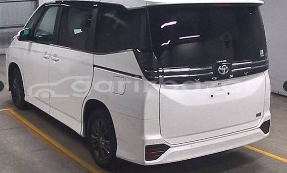 Buy Used 2023 Toyota Voxy in Dhaka, Dhaka Buy Used 2023 Toyota Voxy in Dhaka, Dhaka