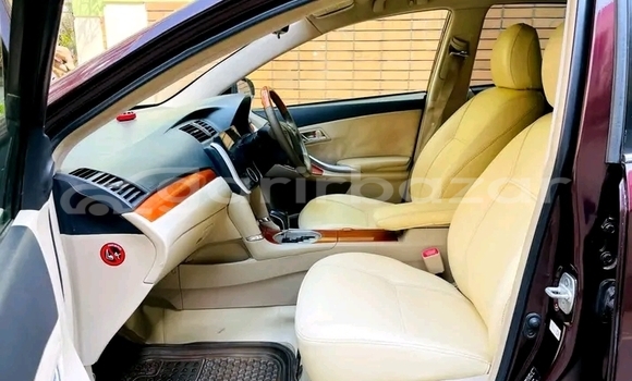 কেনা ব্যবহৃত Toyota Premio f-ex mica bule 2019 Red গাড়ী মধ্যে বানিয়াচং মধ্যে Habiganj কেনা ব্যবহৃত Toyota Premio f-ex mica bule 2019 Red গাড়ী মধ্যে বানিয়াচং মধ্যে Habiganj