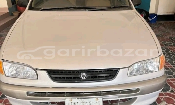 কেনা ব্যবহৃত Toyota Corolla White গাড়ী মধ্যে বান্দরবান মধ্যে Bandarban কেনা ব্যবহৃত Toyota Corolla White গাড়ী মধ্যে বান্দরবান মধ্যে Bandarban