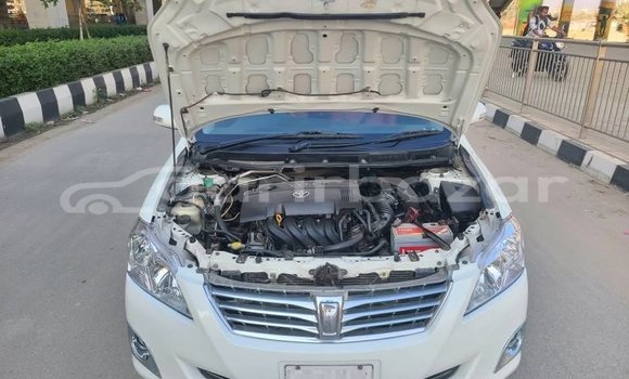 কেনা ব্যবহৃত Toyota Premio White গাড়ী মধ্যে ঢাকা মধ্যে Dhaka কেনা ব্যবহৃত Toyota Premio White গাড়ী মধ্যে ঢাকা মধ্যে Dhaka