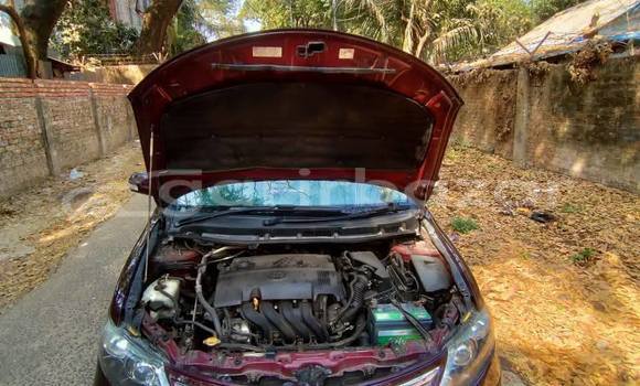 Buy Used 2019 Toyota F premio in Dhaka, Dhaka Buy Used 2019 Toyota F premio in Dhaka, Dhaka