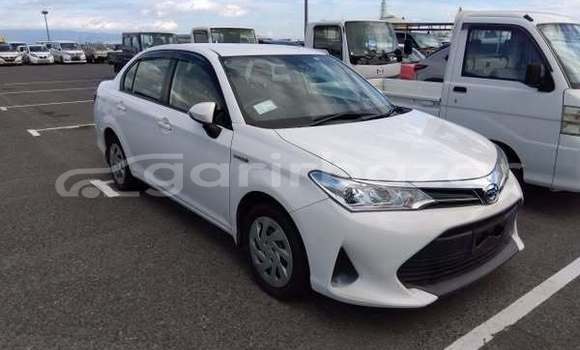 কেনা ব্যবহৃত Toyota Axio Other গাড়ী মধ্যে ঢাকা মধ্যে Dhaka কেনা ব্যবহৃত Toyota Axio Other গাড়ী মধ্যে ঢাকা মধ্যে Dhaka