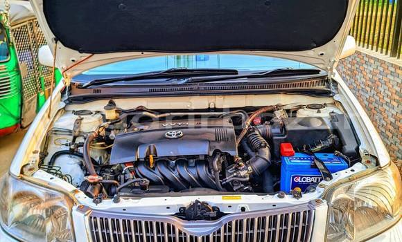 Buy Used 2004 Toyota X corolla in Dhaka, Dhaka Buy Used 2004 Toyota X corolla in Dhaka, Dhaka