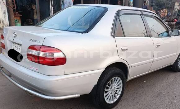 Buy Used 2019 Toyota Corolla in Dhaka, Dhaka Buy Used 2019 Toyota Corolla in Dhaka, Dhaka