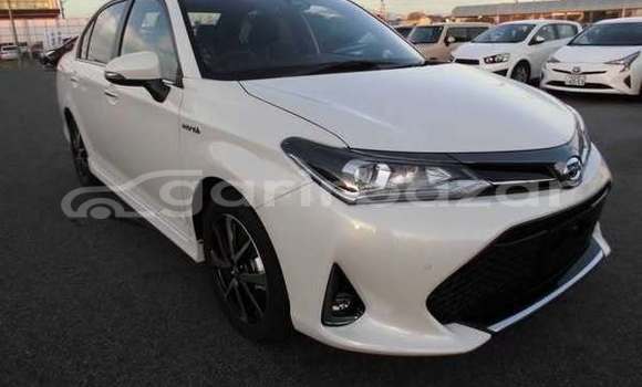 কেনা ব্যবহৃত Toyota Axio Other গাড়ী মধ্যে ঢাকা মধ্যে Dhaka কেনা ব্যবহৃত Toyota Axio Other গাড়ী মধ্যে ঢাকা মধ্যে Dhaka