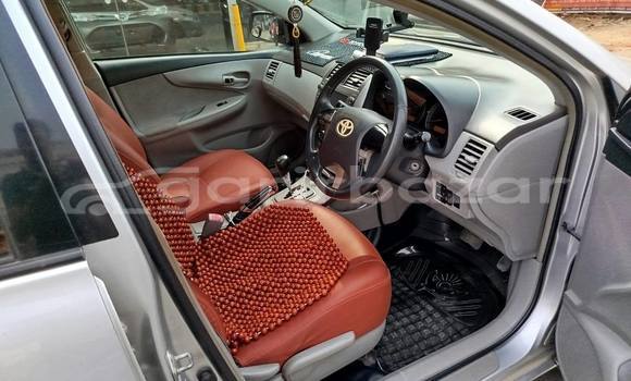 কেনা ব্যবহৃত Toyota Axio Other গাড়ী মধ্যে ঢাকা মধ্যে Dhaka কেনা ব্যবহৃত Toyota Axio Other গাড়ী মধ্যে ঢাকা মধ্যে Dhaka