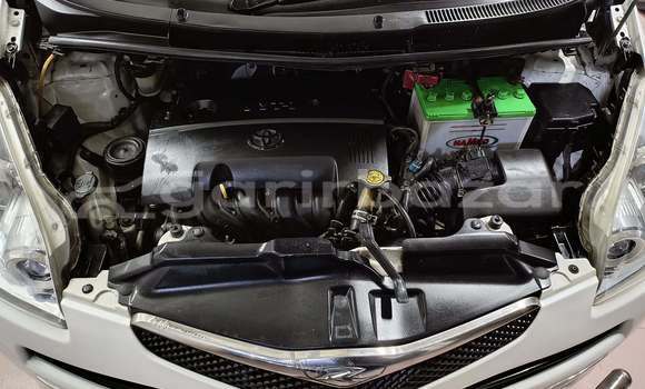 Buy Used 2008 Toyota Ractis in Dhaka, Dhaka Buy Used 2008 Toyota Ractis in Dhaka, Dhaka