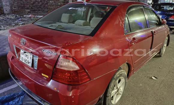 কেনা ব্যবহৃত Toyota Corolla Red গাড়ী মধ্যে ঢাকা মধ্যে Dhaka কেনা ব্যবহৃত Toyota Corolla Red গাড়ী মধ্যে ঢাকা মধ্যে Dhaka