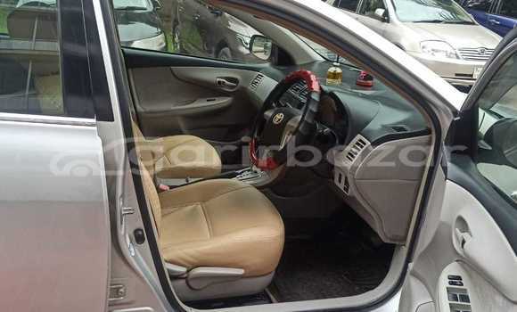 কেনা ব্যবহৃত Toyota Axio Other গাড়ী মধ্যে ঢাকা মধ্যে Dhaka কেনা ব্যবহৃত Toyota Axio Other গাড়ী মধ্যে ঢাকা মধ্যে Dhaka