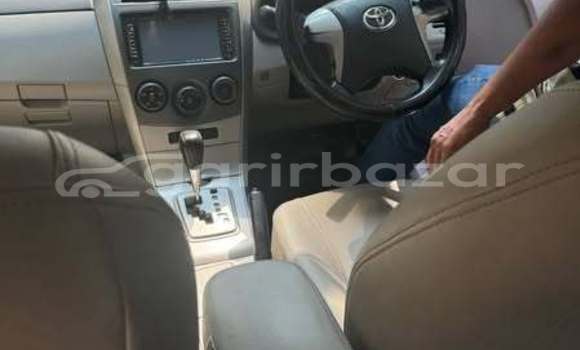 Buy Used 2010 Toyota corolla in Dhaka, Dhaka Buy Used 2010 Toyota corolla in Dhaka, Dhaka