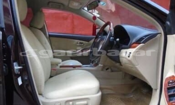 কেনা ব্যবহৃত Toyota Premio Red গাড়ী মধ্যে ঢাকা মধ্যে Dhaka কেনা ব্যবহৃত Toyota Premio Red গাড়ী মধ্যে ঢাকা মধ্যে Dhaka