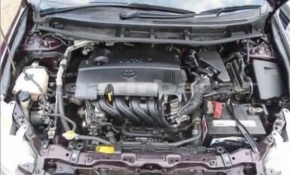 কেনা ব্যবহৃত Toyota Premio Red গাড়ী মধ্যে ঢাকা মধ্যে Dhaka কেনা ব্যবহৃত Toyota Premio Red গাড়ী মধ্যে ঢাকা মধ্যে Dhaka