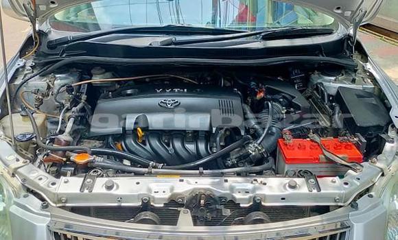 Buy Used 2009 Toyota Axio in Dhaka, Dhaka Buy Used 2009 Toyota Axio in Dhaka, Dhaka