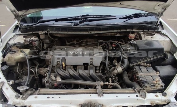 Buy Used 2005 Toyota Premio in Dhaka, Dhaka Buy Used 2005 Toyota Premio in Dhaka, Dhaka