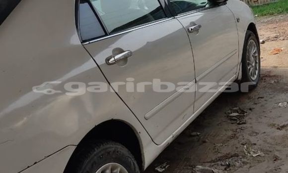 কেনা ব্যবহৃত Toyota Corolla White গাড়ী মধ্যে ঢাকা মধ্যে Dhaka কেনা ব্যবহৃত Toyota Corolla White গাড়ী মধ্যে ঢাকা মধ্যে Dhaka