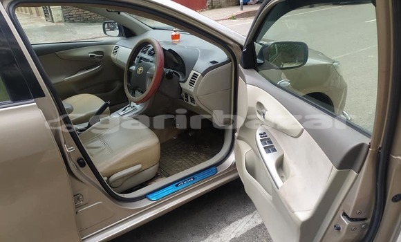 কেনা ব্যবহৃত Toyota Axio Gold গাড়ী মধ্যে ঢাকা মধ্যে Dhaka কেনা ব্যবহৃত Toyota Axio Gold গাড়ী মধ্যে ঢাকা মধ্যে Dhaka