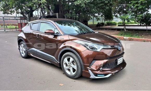 কেনা ব্যবহৃত Toyota CH-R Brown গাড়ী মধ্যে ঢাকা মধ্যে Dhaka কেনা ব্যবহৃত Toyota CH-R Brown গাড়ী মধ্যে ঢাকা মধ্যে Dhaka