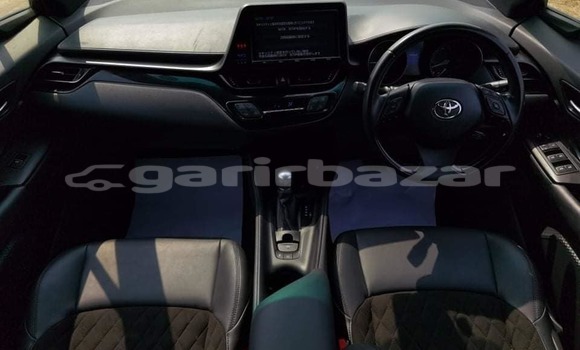 কেনা ব্যবহৃত Toyota CH-R Grey গাড়ী মধ্যে ঢাকা মধ্যে Dhaka কেনা ব্যবহৃত Toyota CH-R Grey গাড়ী মধ্যে ঢাকা মধ্যে Dhaka