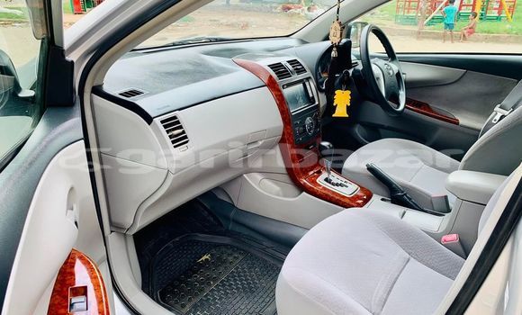 কেনা ব্যবহৃত Toyota Axio White গাড়ী মধ্যে ঢাকা মধ্যে Dhaka কেনা ব্যবহৃত Toyota Axio White গাড়ী মধ্যে ঢাকা মধ্যে Dhaka