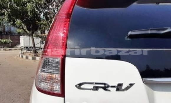 কেনা ব্যবহৃত Honda CR-V White গাড়ী মধ্যে ঢাকা মধ্যে Dhaka কেনা ব্যবহৃত Honda CR-V White গাড়ী মধ্যে ঢাকা মধ্যে Dhaka