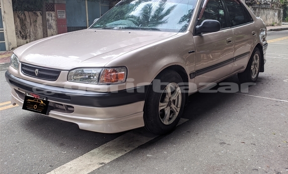 কেনা ব্যবহৃত Toyota Corolla Beige গাড়ী মধ্যে ঢাকা মধ্যে Dhaka কেনা ব্যবহৃত Toyota Corolla Beige গাড়ী মধ্যে ঢাকা মধ্যে Dhaka
