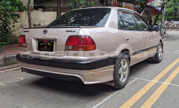 কেনা ব্যবহৃত Toyota Corolla Beige গাড়ী মধ্যে ঢাকা মধ্যে Dhaka কেনা ব্যবহৃত Toyota Corolla Beige গাড়ী মধ্যে ঢাকা মধ্যে Dhaka