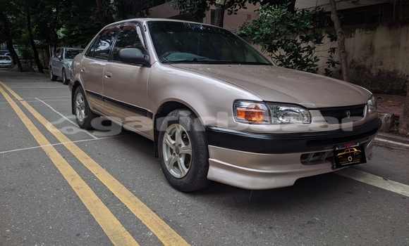কেনা ব্যবহৃত Toyota Corolla Beige গাড়ী মধ্যে ঢাকা মধ্যে Dhaka কেনা ব্যবহৃত Toyota Corolla Beige গাড়ী মধ্যে ঢাকা মধ্যে Dhaka