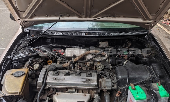 কেনা ব্যবহৃত Toyota Corolla Beige গাড়ী মধ্যে ঢাকা মধ্যে Dhaka কেনা ব্যবহৃত Toyota Corolla Beige গাড়ী মধ্যে ঢাকা মধ্যে Dhaka