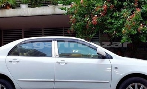 Buy Used 2005 Toyota Corolla in Dhaka, Dhaka Buy Used 2005 Toyota Corolla in Dhaka, Dhaka