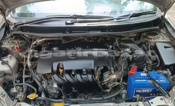 কেনা ব্যবহৃত Toyota Premio Grey গাড়ী মধ্যে ঢাকা মধ্যে Dhaka কেনা ব্যবহৃত Toyota Premio Grey গাড়ী মধ্যে ঢাকা মধ্যে Dhaka