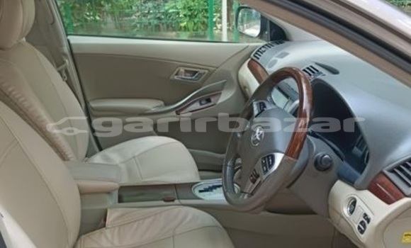 কেনা ব্যবহৃত Toyota Premio Grey গাড়ী মধ্যে ঢাকা মধ্যে Dhaka কেনা ব্যবহৃত Toyota Premio Grey গাড়ী মধ্যে ঢাকা মধ্যে Dhaka