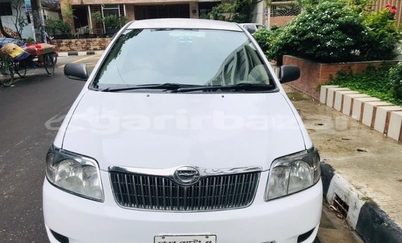 কেনা ব্যবহৃত Toyota Corolla White গাড়ী মধ্যে ঢাকা মধ্যে Dhaka কেনা ব্যবহৃত Toyota Corolla White গাড়ী মধ্যে ঢাকা মধ্যে Dhaka