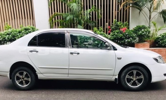 কেনা ব্যবহৃত Toyota Corolla White গাড়ী মধ্যে ঢাকা মধ্যে Dhaka কেনা ব্যবহৃত Toyota Corolla White গাড়ী মধ্যে ঢাকা মধ্যে Dhaka