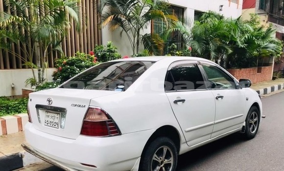 কেনা ব্যবহৃত Toyota Corolla White গাড়ী মধ্যে ঢাকা মধ্যে Dhaka কেনা ব্যবহৃত Toyota Corolla White গাড়ী মধ্যে ঢাকা মধ্যে Dhaka