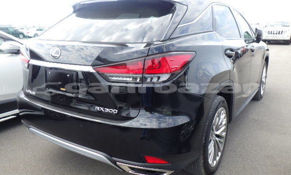 Buy Import 2019 Lexus RX 300 in Dhaka, Dhaka Buy Import 2019 Lexus RX 300 in Dhaka, Dhaka