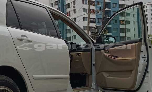 Buy Used 2001 Toyota Runx in Dhaka, Dhaka Buy Used 2001 Toyota Runx in Dhaka, Dhaka