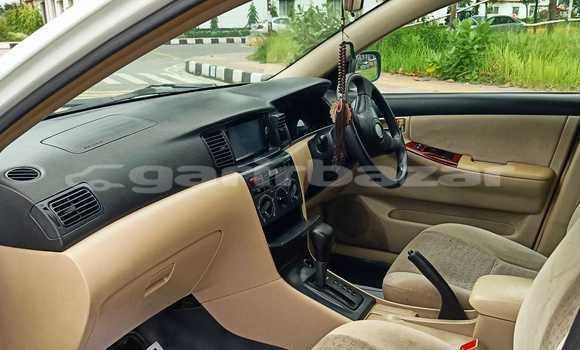 Buy Used 2001 Toyota Runx in Dhaka, Dhaka Buy Used 2001 Toyota Runx in Dhaka, Dhaka