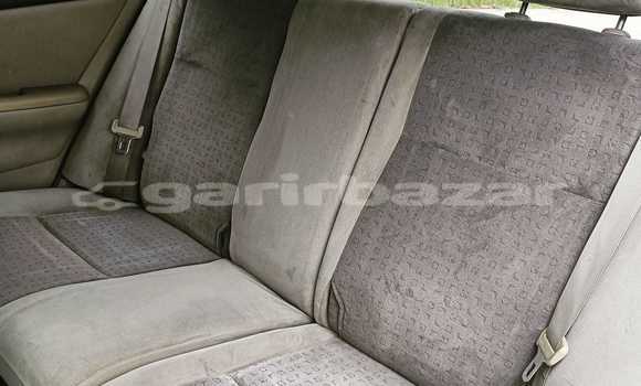 Buy Used 2001 Toyota Runx in Dhaka, Dhaka Buy Used 2001 Toyota Runx in Dhaka, Dhaka