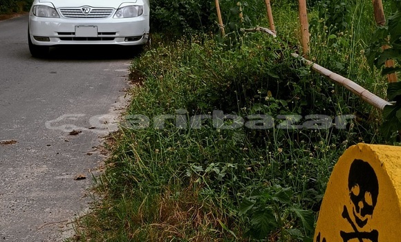 Buy Used 2001 Toyota Runx in Dhaka, Dhaka Buy Used 2001 Toyota Runx in Dhaka, Dhaka