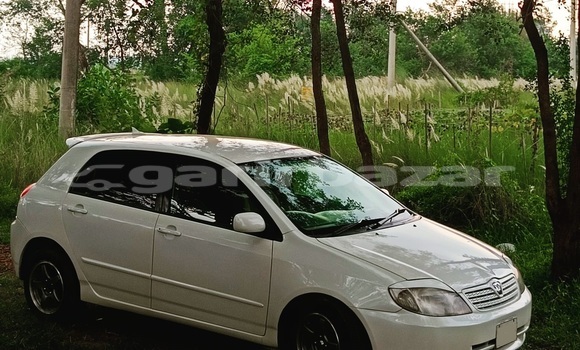 Buy Used 2001 Toyota Runx in Dhaka, Dhaka Buy Used 2001 Toyota Runx in Dhaka, Dhaka