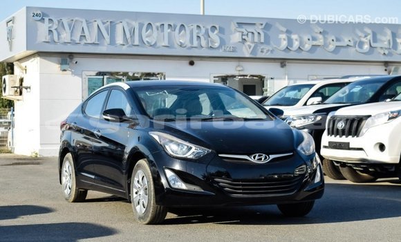 Buy Import 2015 Hyundai Elantra in Import - Dubai, Bandarban